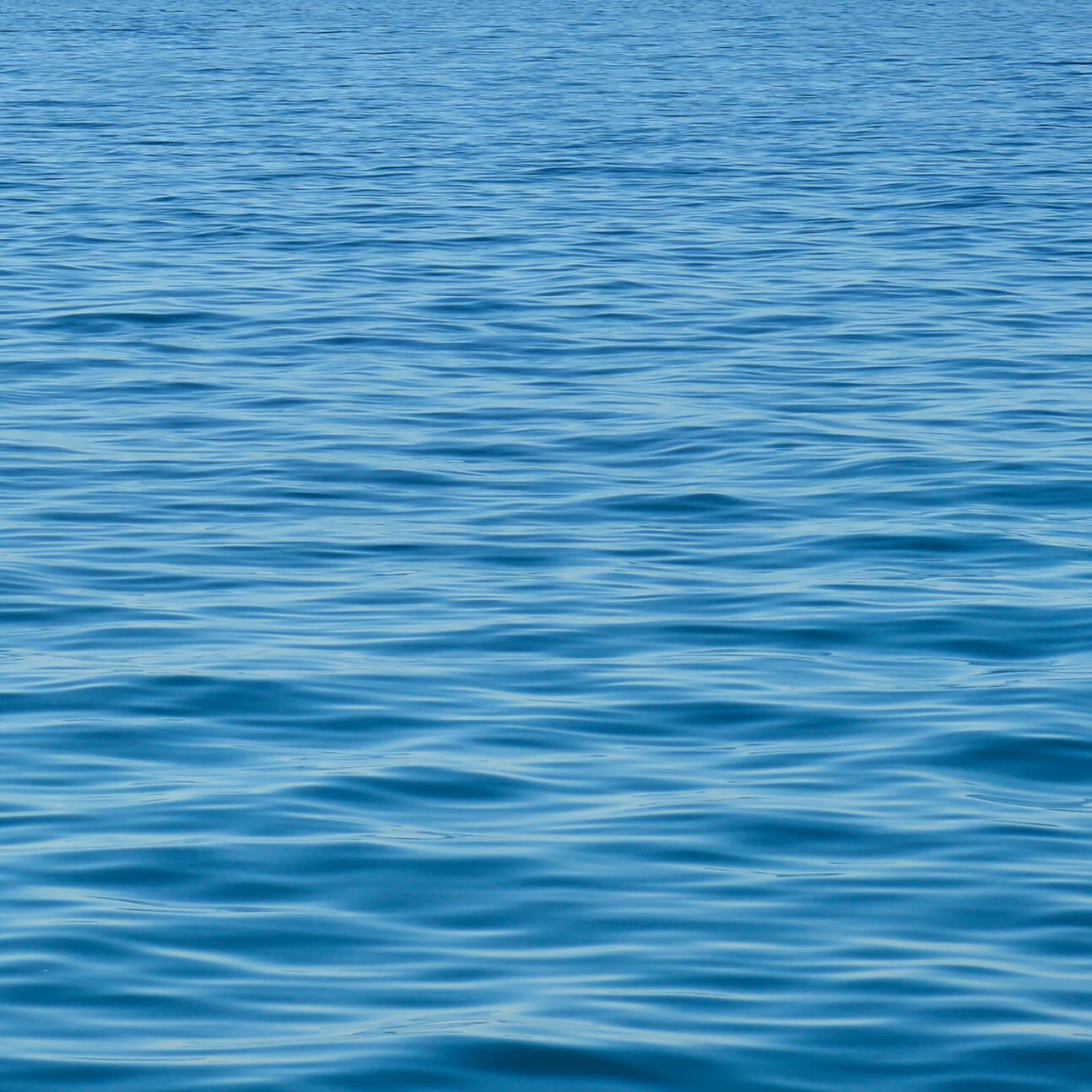 Saya De Malha Daily Monaco Explorations
