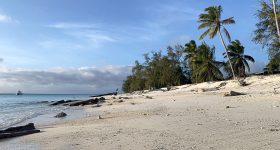 4 journées d'activités intenses ont été menées à Aldabra depuis l'arrivée de la mission océan Indien des Explorations de Monaco sur le site.