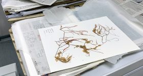 Herbarium. Saya de Malha. Indian Ocean Mission 2022©Didier Théron_MonacoExplorations