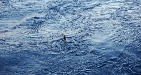 Le flotteur remis par la Principauté de Monaco à l'ïle Maurice a rejoint l'océan Indien le 25 novembre 2022©Didier Théron_MonacoExplorationsJPG