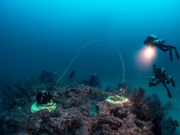 An opaque (left) and a transparent (right) benthic chamber are placed on a coralligenous massif to measure gas exchanges. Laurent Ballesta - Andromeda Oceanology.